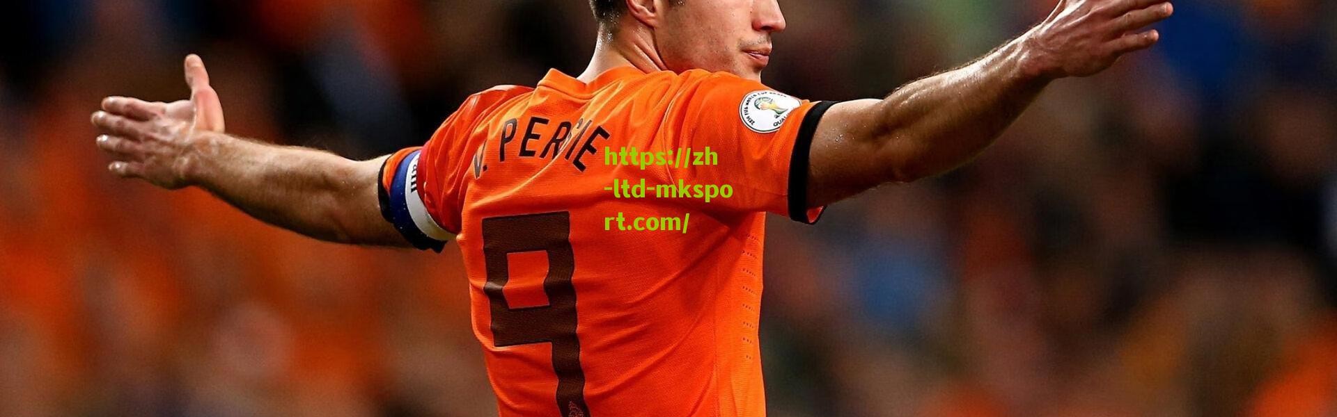 多特蒙德与费内巴切展开正式谈判 土耳其飞翼卡迪奥卢或登陆德甲