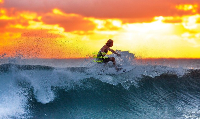 「药厂精神永不灭！阿隆索率队创35场不败神话 德甲新王朝崛起」