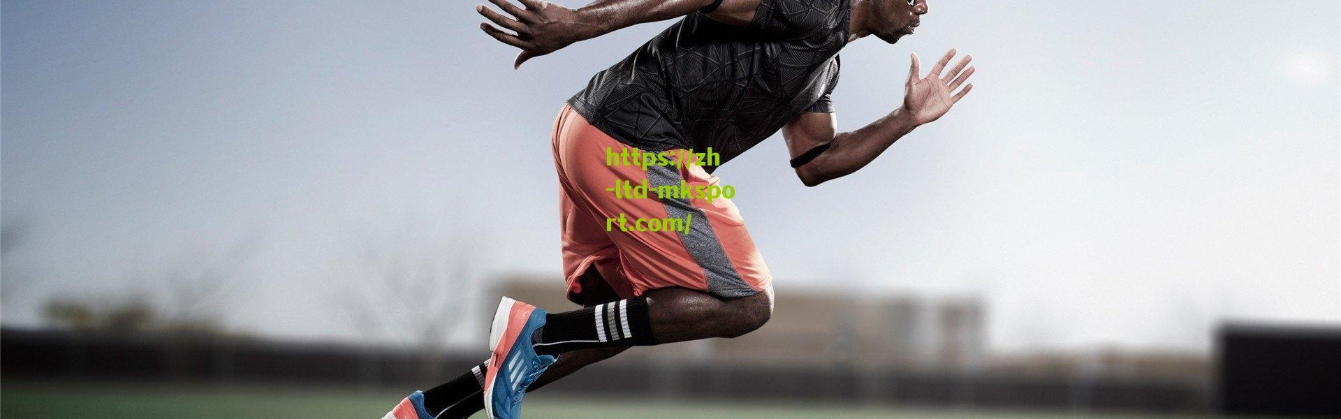 鹈鹕球迷调查揭示球队信心，大范执教风格受追捧，季后赛成下季最低期望