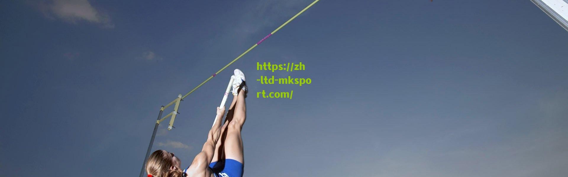 德天空独家，斯图加特瞄准德米罗维奇，奥格斯堡标价2000万欧不松口