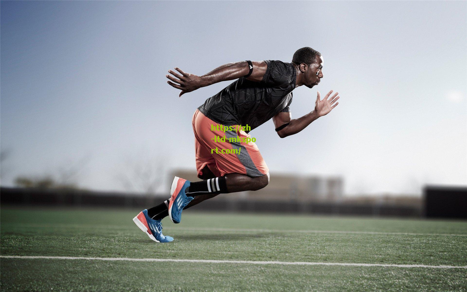 鹈鹕球迷调查揭示球队信心,大范执教风格受追捧,季后赛成下季最低期望